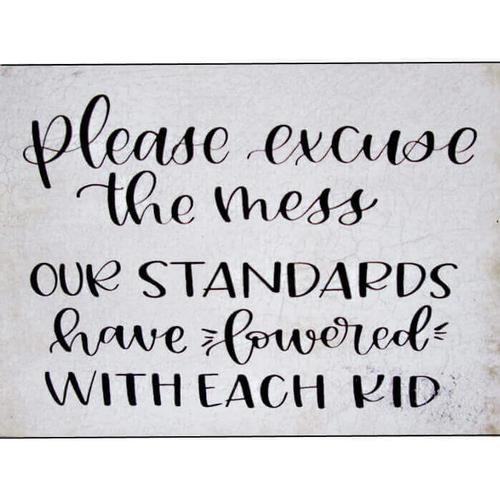 Please excuse the Mess, our standards have lowered with each kid Gift Block